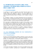 11-morfologia-flexiva-del-nom-gènero-i-número-dels-substantius