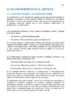 12-els-determinants-l’artícul