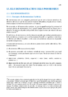 13-els-demostratius-i-els-possessius