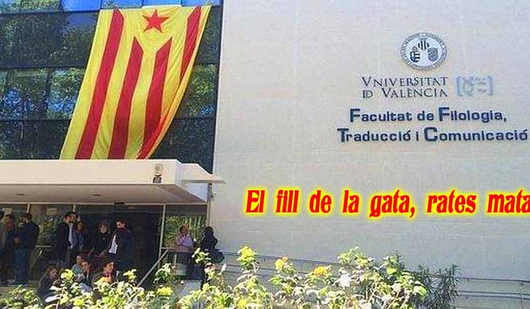 El fill de la gata, rates mata