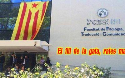 El fill de la gata, rates mata