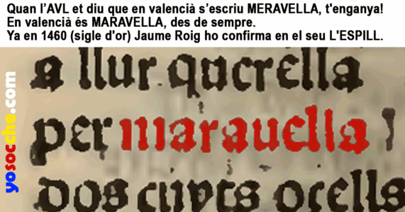 1460 L'ESPILL - JAUME ROIG - MARAVELLA ©YOSOCCHE 1460 L'ESPILL - JAUME ROIG - MARAVELLA ©YOSOCCHE