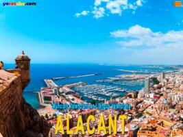 ALACANT ALACANT