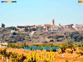 AYACOR AYACOR