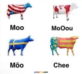 VACA-CHEE VACA-CHEE
